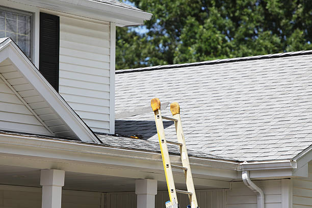 Best Construction Debris Removal  in Lebanon, IN