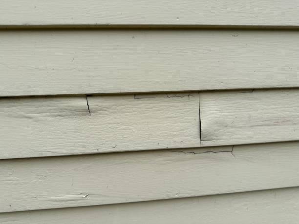 Best Shed Removal  in Lebanon, IN